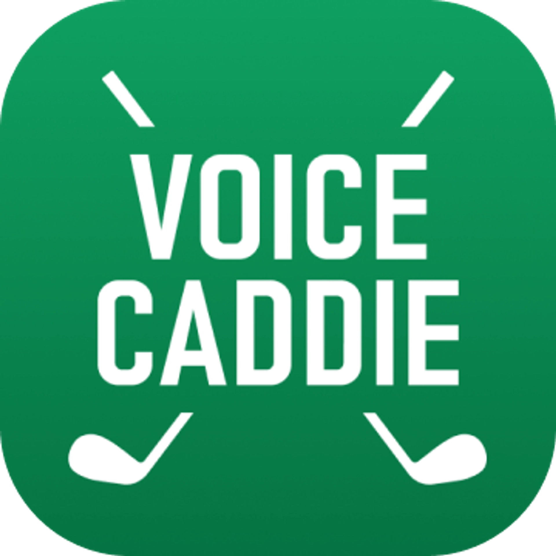 job-list-보이스캐디엑스-logo