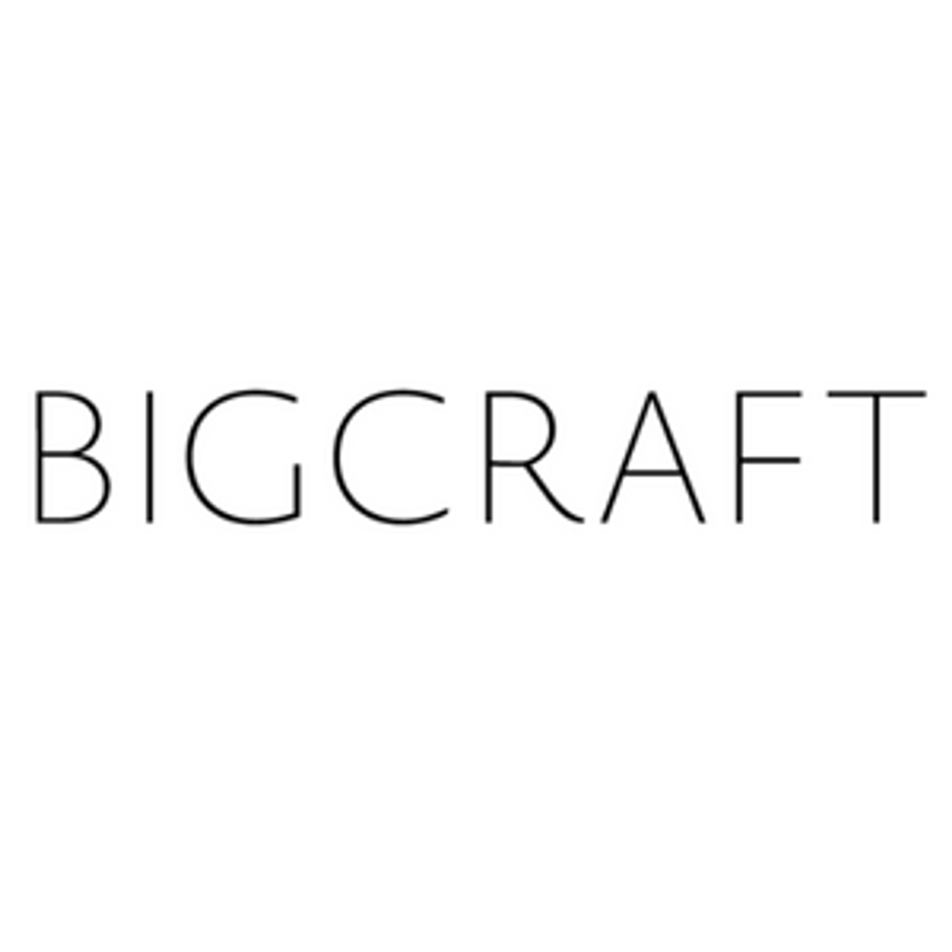 job-list-빅크래프트-logo