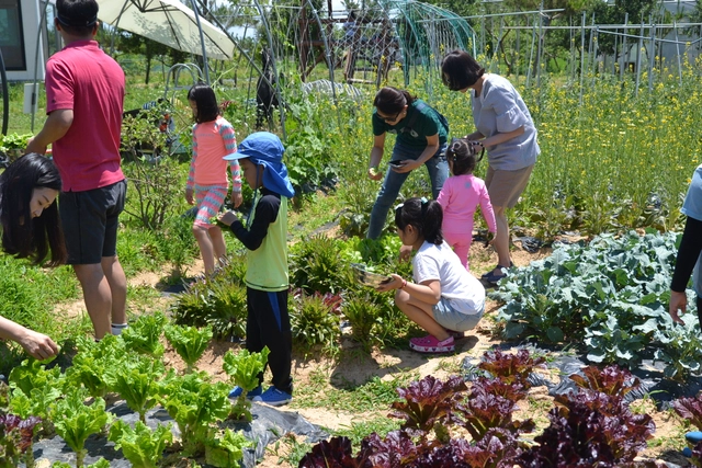 posting-5253-image-0